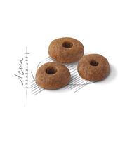 Royal Canin Корм сухой Fit для кошек 15 кг