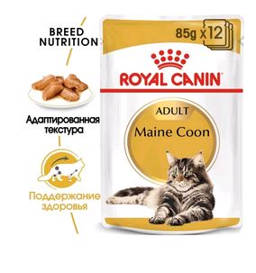 Royal Canin Maine Coon кусочки в соусе для кошек породы Мейн Кун 85г
