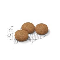Royal Canin Сухой корм, Эйджинг Стерилайзд 12+ для стерилизованных кошек и кастратов старше 12 лет 0,4 кг