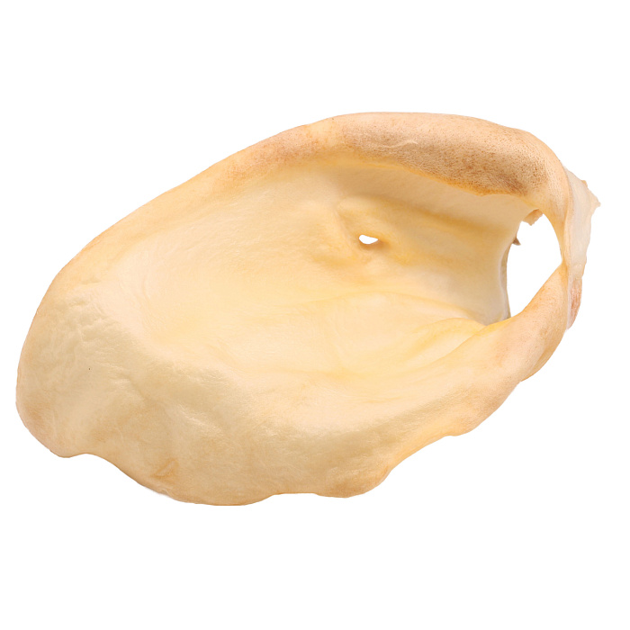 TITBIT Лакомство для собак Ухо говяжье  XXL, мягкая упаковка, 80 г