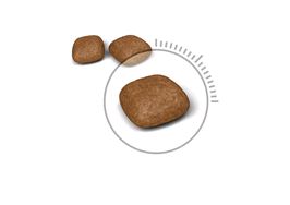 Royal Canin Сухой корм Urinary Care для кошек "Профилактика МКБ 0,4 кг