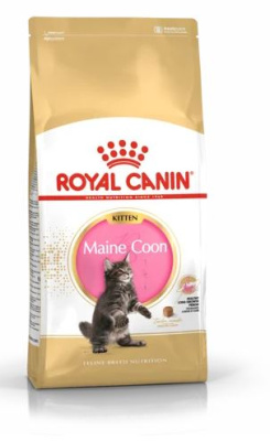Royal Canin сухой корм  Maine Coon Kitten для котят породы Мэйн Кун от 4 до 15 месяцев  0,4кг