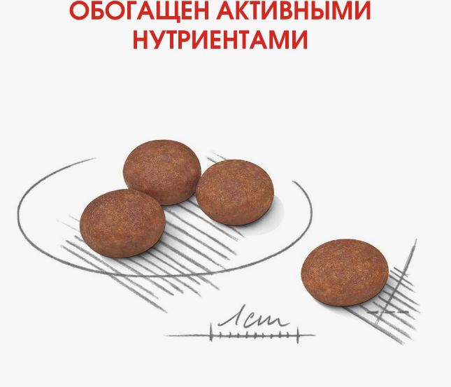 Royal Canin Mini Digestive Care сухой корм для собак  с чувствительным пищеварением 3кг