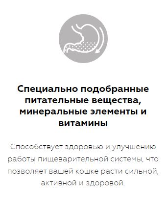 Karmy Maine Coon Kitten Сухой корм для беременных и кормящих кошек и котят в возрасте до 1 года 10кг