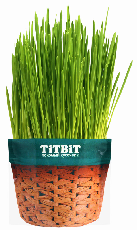TiTBiT Трава для кошек Овес 60 г
