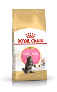 Royal Canin Сухой корм Maine Coon Kitten для котят породы Мэйн Кун от 4 до 15 месяцев 4кг