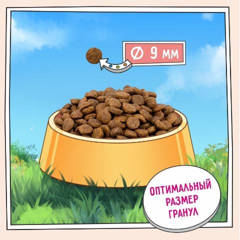 ZILLI  Adult Dog Small Breed   Сухой корм для взрослых собак мелких пород     Белая рыба с лососем 2кг