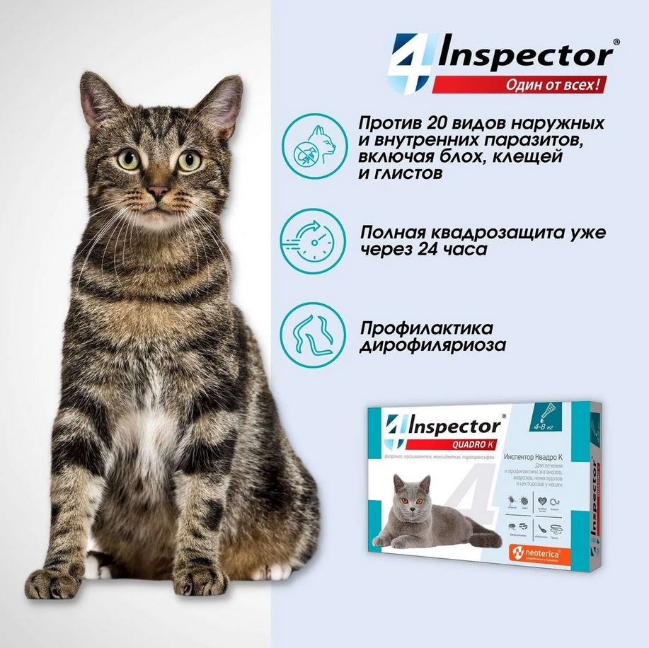 Inspector Quadro капли на холку для кошек 4-8кг от блох, клещей, гельминтов, 1 пипетка