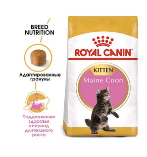 Royal Canin сухой корм  Maine Coon Kitten для котят породы Мэйн Кун от 4 до 15 месяцев  0,4кг