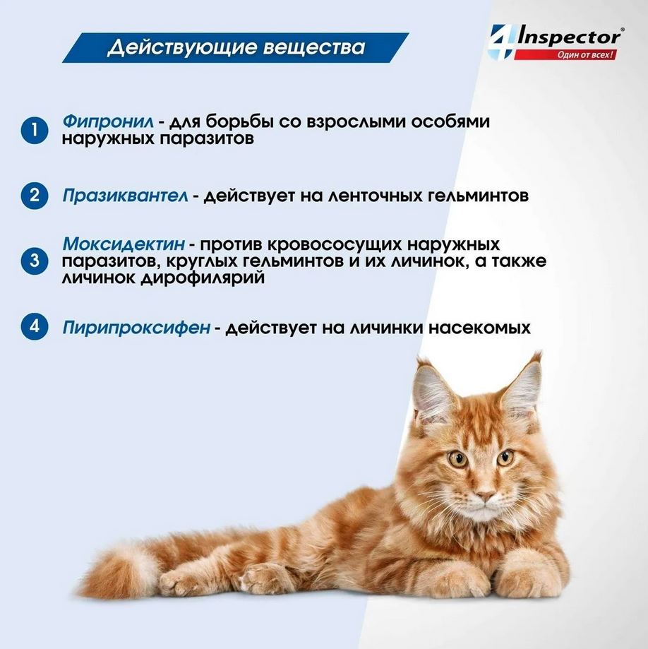 Inspector Quadro капли на холку для кошек 8-15кг от блох, клещей, гельминтов, 1 пипетка