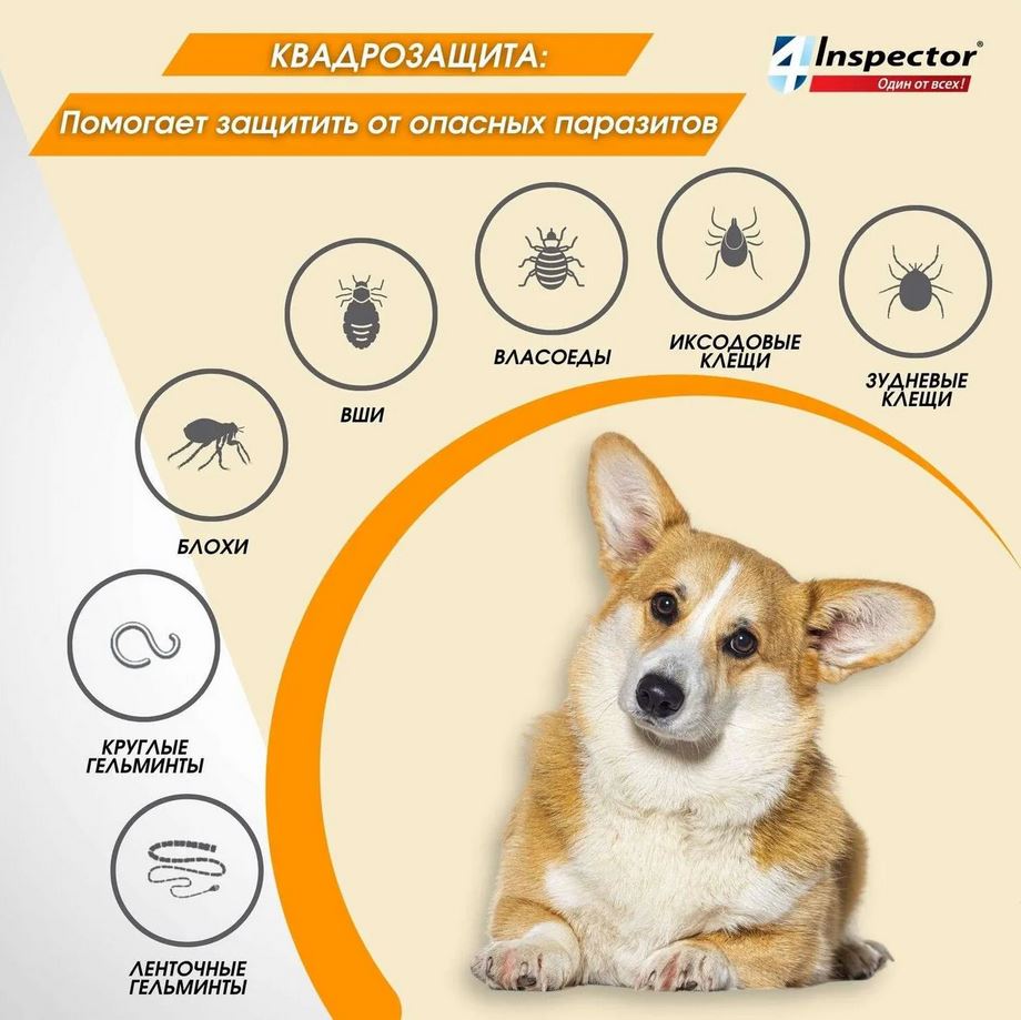 Inspector Quadro капли на холку для собак 1-4кг,от блох, клещей, гельминтов 1 пипетка