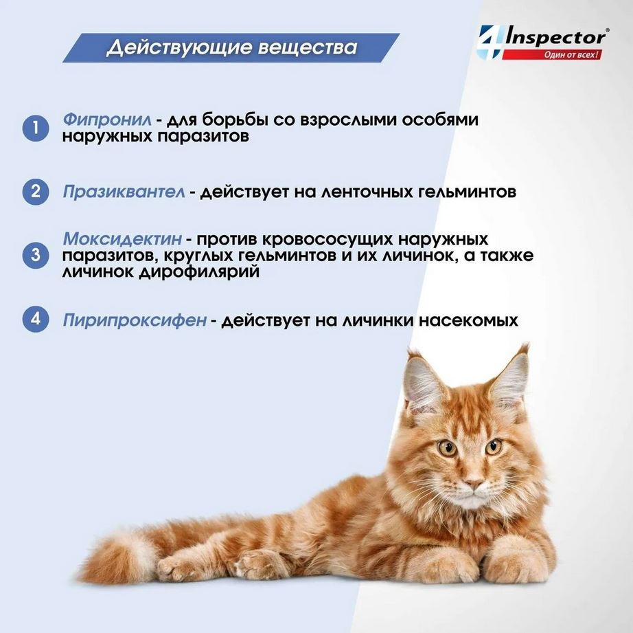 Inspector Quadro капли на холку для кошек 1-4 кг от блох, клещей, гельминтов, 1 пипетка