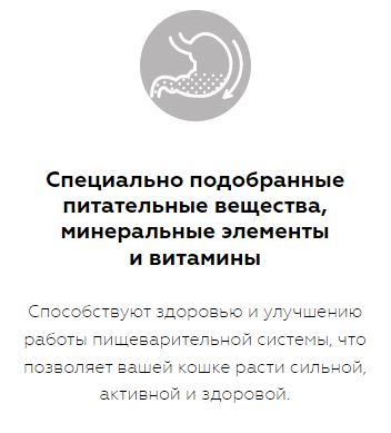 Karmy Kitten British Shorthair Сухой корм для беременных и кормящих кошек и котят в возрасте до 1 года 0,4кг