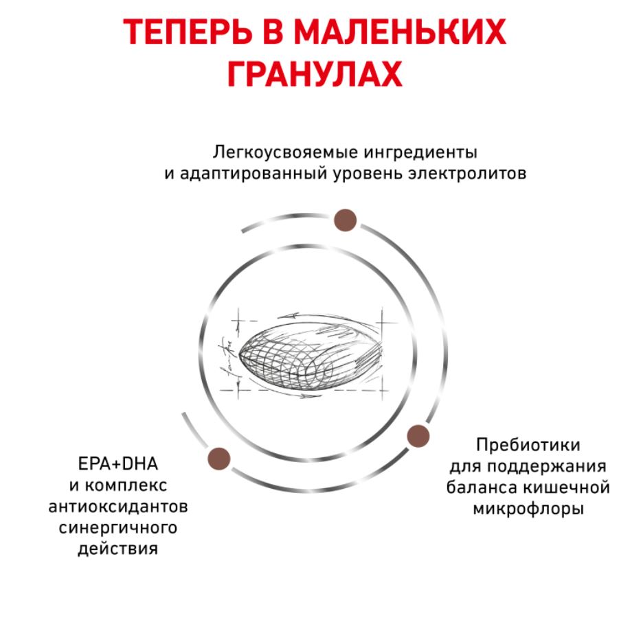 Сухой корм полнорационный диетический Gastrointestinal Low Fat Small Dog,  для взрослых собак мелких пород при нарушениях пищеварения , 1 кг