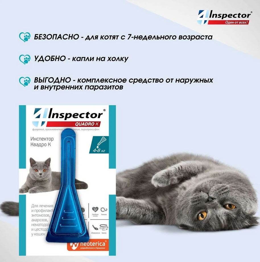 Inspector Quadro капли на холку для кошек 4-8кг от блох, клещей, гельминтов, 1 пипетка