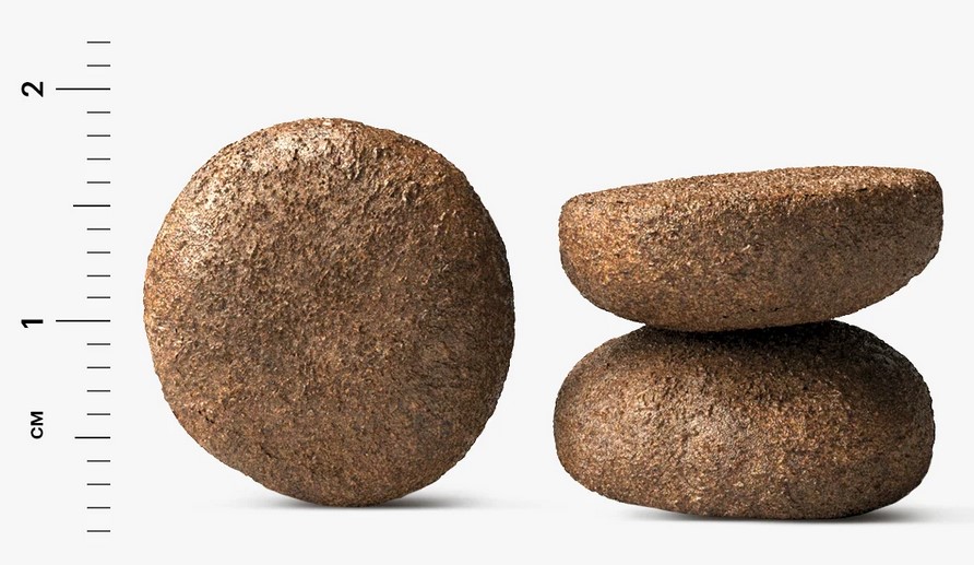 Karmy Maxi Adult Индейка 14кг. Корм для взрослых собак крупных пород старше 1 года.