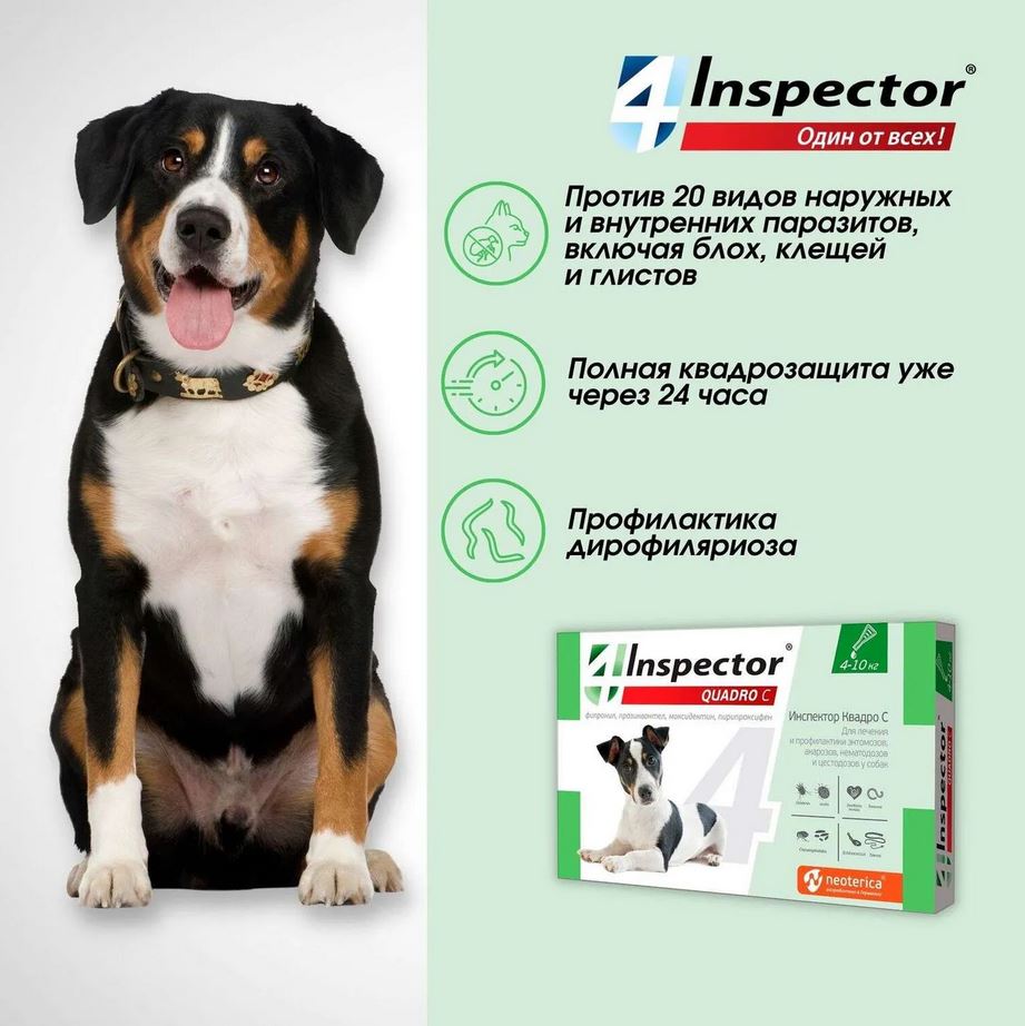 Inspector Quadro капли на холку для собак 4-10кг,от блох, клещей, гельминтов 1 пипетка