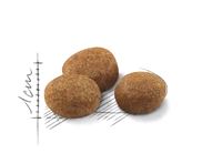 Royal Canin Сухой корм Sterilised 7+ для стерилизованных кошек (в возрасте от 7 до 12 лет) 1,5 к