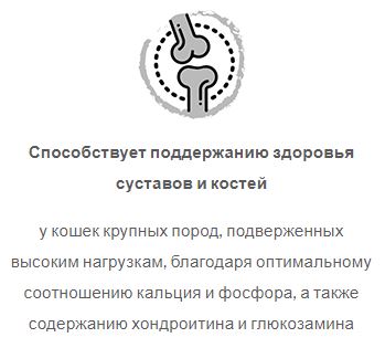 Karmy Британская короткошерстная Сухой корм для взрослых кошек старше 1 года. Индейка 0,4кг