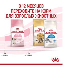Royal Canin KITTEN  корм сухой полнорационный для котят  до 12 месяцев 0,3 кг
