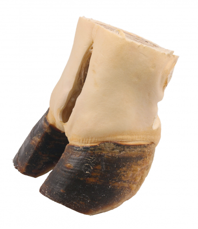 TITBIT Лакомство для собак Путовый сустав говяжий, мягкая упаковка, 480 г