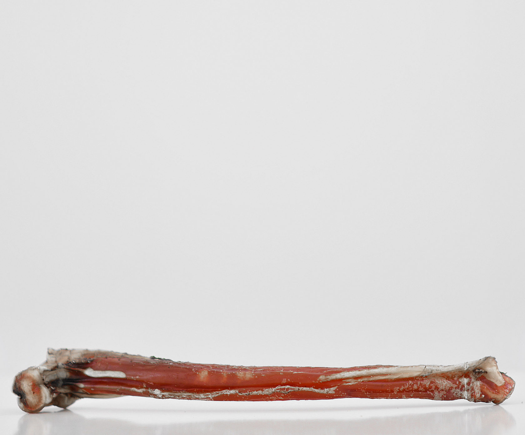 КИОКИ Бычий корень особый для собак 50 гр