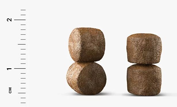 Karmy Maine Coon Kitten Сухой корм для беременных и кормящих кошек и котят в возрасте до 1 года 10кг