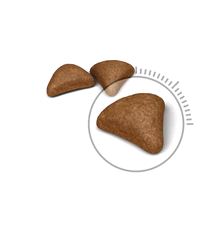 Royal Canin Сухой корм Hairball Care для кошек от 1 года "Вывод шерсти" 0,4 кг