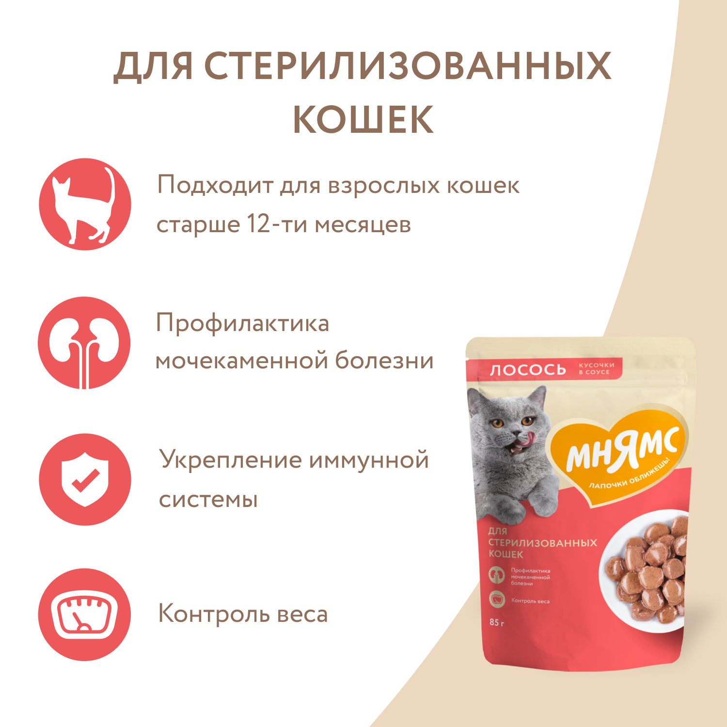 Влажный корм Мнямс Кусочки в соусе с лососем для стерилизованных кошек, 85г