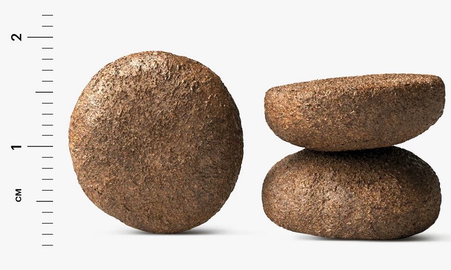 Karmy Active Medium & Maxi     Индейка 2кг. Полнорационный сухой корм для собак средних и крупных пород  старше 1 года, с повышенным уровнем физической активности