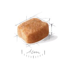 Royal Canin Сухой корм Dachshund Adult для собак породы такса 1,5кг