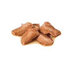 Royal Canin Maine Coon кусочки в соусе для кошек породы Мейн Кун 85г