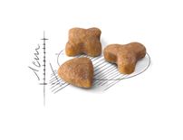 Royal Canin Сухой корм корм Sensible для кошек с чувствительным пищеварением 2 кг