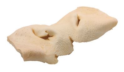 TITBIT. Лакомство для собак. Нос говяж."бабочка" большой мягкая упаковка, 95 г