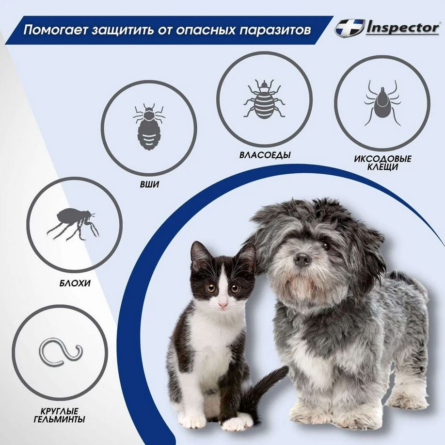 Ошейник от блох и клещей для кошек и мелких собак Inspector, 40 см