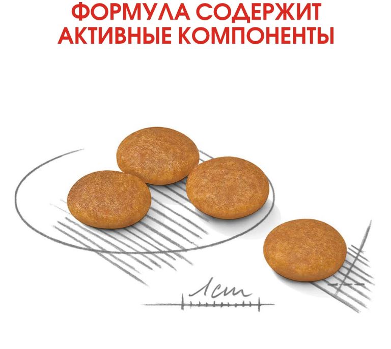 Royal Canin MINI Dermacomfort  сухой корм  для мелких собак с чувствительной кожей 3 кг