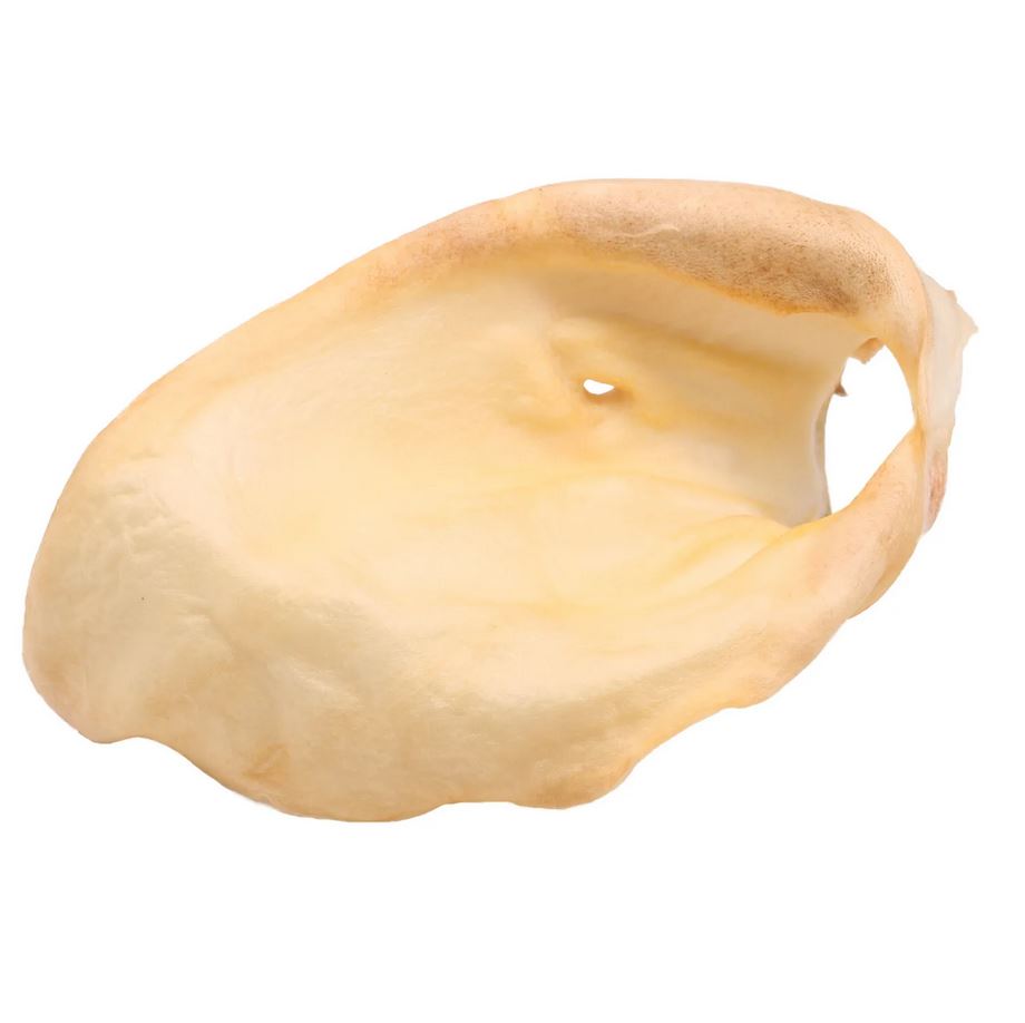 TiTBiT Лакомство для собак Ухо говяжье 1 шт, мягкая упаковка, 31 г