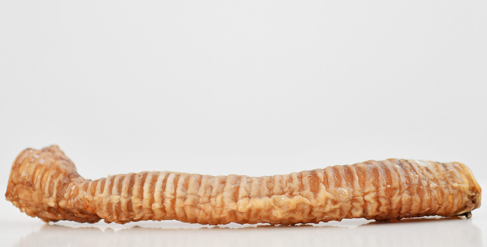 КИОКО Трахея говяжья цельная для собак 120 гр