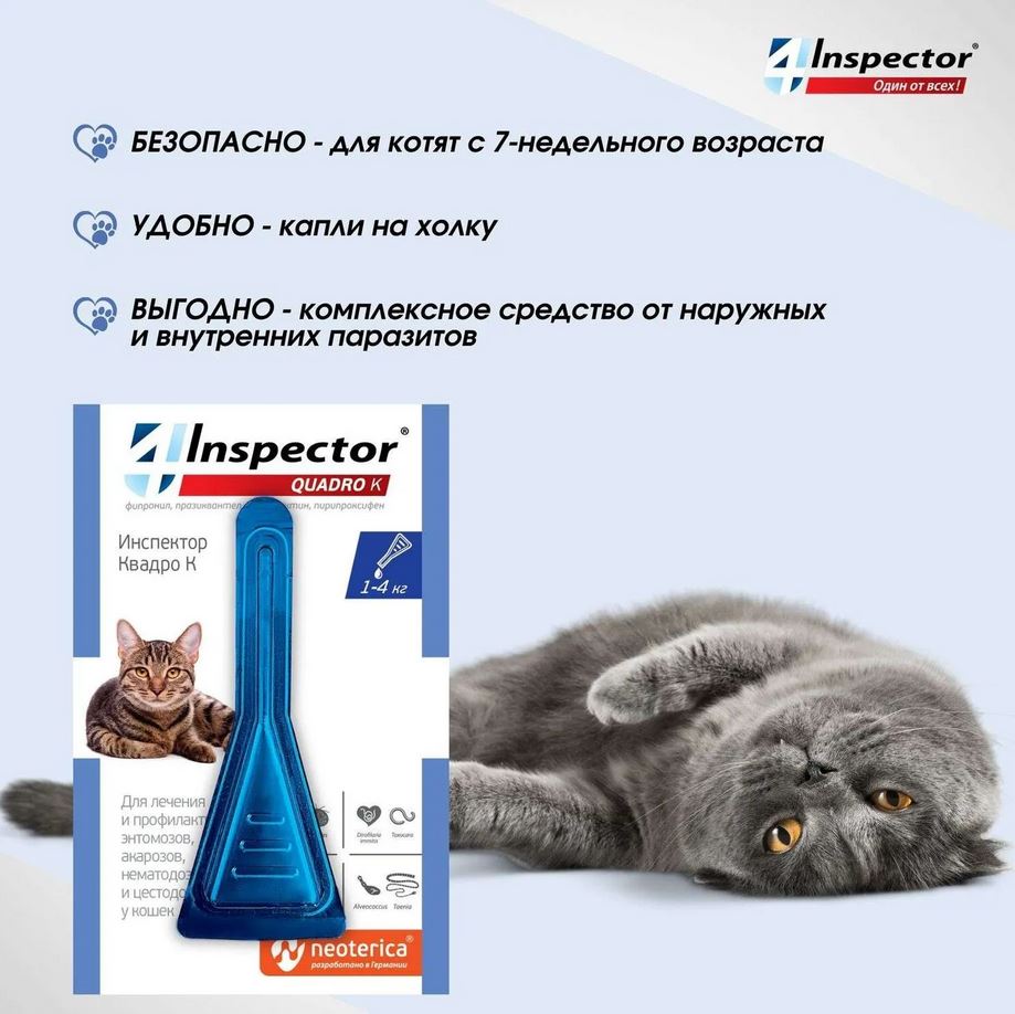 Inspector Quadro капли на холку для кошек 1-4 кг от блох, клещей, гельминтов, 1 пипетка
