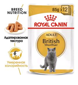 Royal Canin Корм Британская короткошерстная мелкие кусочки в соусе 0,085кг