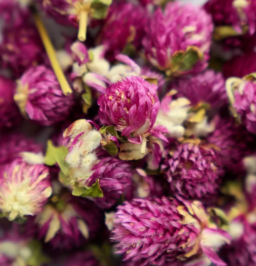 Лакомство Bambini Pets высушенные цветы клевера для грызунов и кроликов, 10 г.