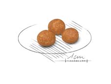 Royal Canin X-Small adult сухой корм для собак миниатюрных пород 0,5кг