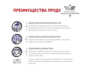Royal Canin Neutered Adult Small Dog Корм сухой для взрослых стерилизованных/кастрированных собак мелких пород 0,8кг