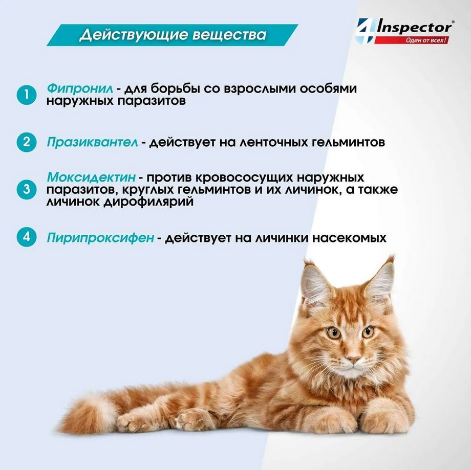 Inspector Quadro капли на холку для кошек 4-8кг от блох, клещей, гельминтов, 1 пипетка