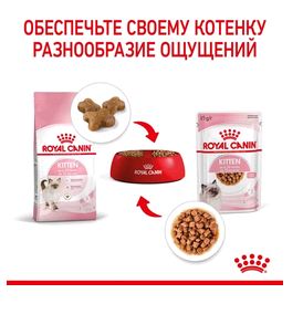 Royal Canin KITTEN корм полнорационный для котят до 12 месяцев (кусочки в соусе) 85г