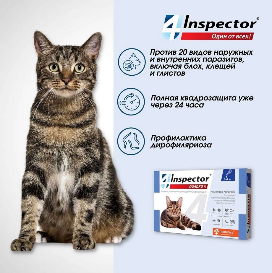 Inspector Quadro капли на холку для кошек 1-4 кг от блох, клещей, гельминтов, 1 пипетка