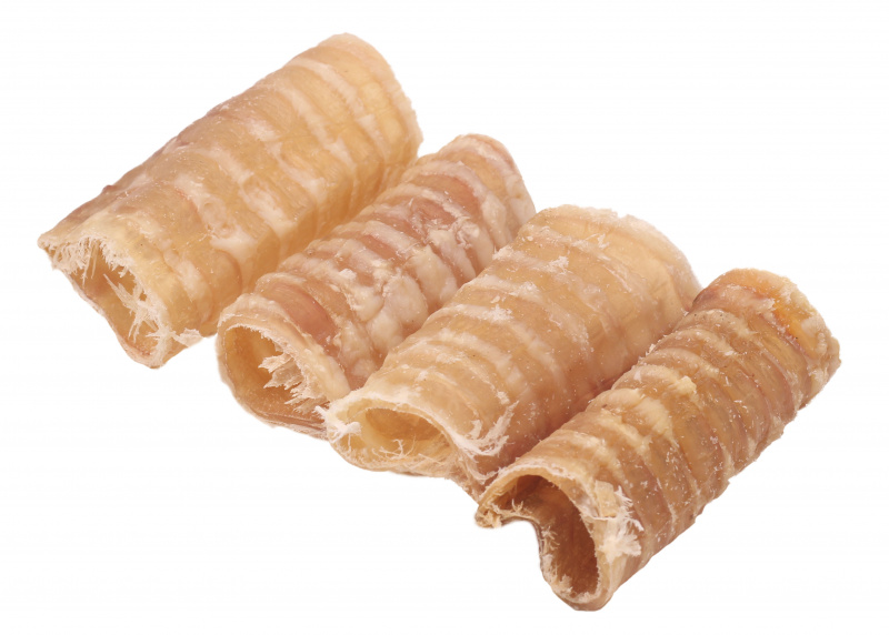 TITBIT Лакомство для собак Трахея говяжья резаная, мягкая упаковка, 70 г