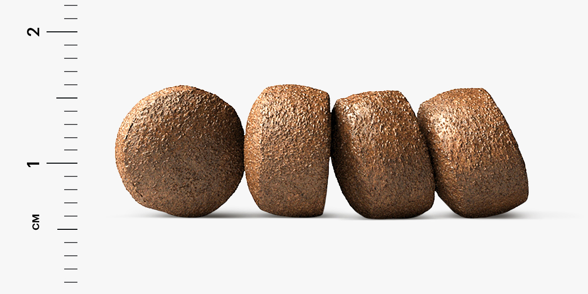 Karmy Sensitive Mini     Лосось 2кг. Полнорационный сухой корм для собак мелких пород  старше 1 года, с чувствительным пищеварением