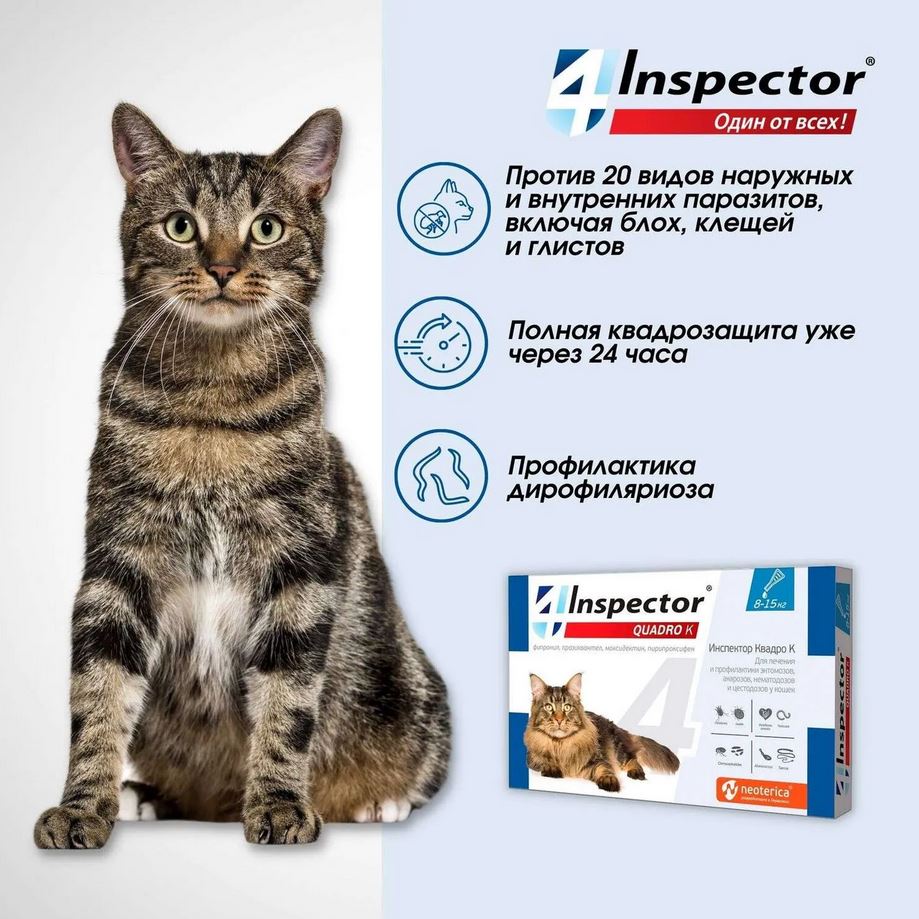 Inspector Quadro капли на холку для кошек 8-15кг от блох, клещей, гельминтов, 1 пипетка