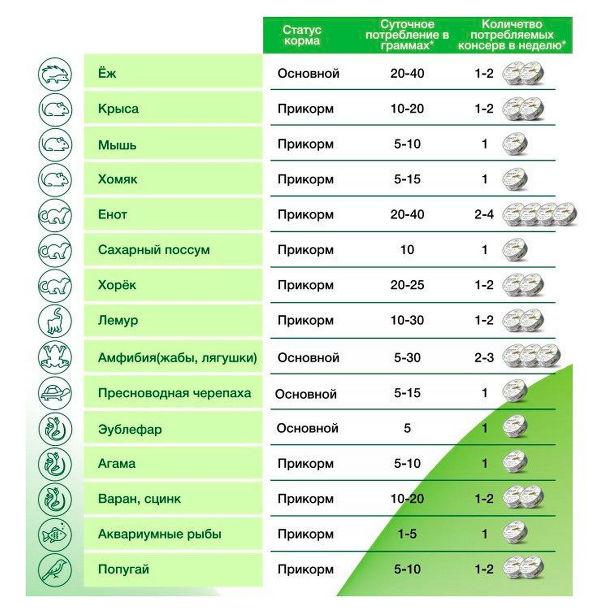 ONTO сверчок консервированный 40г